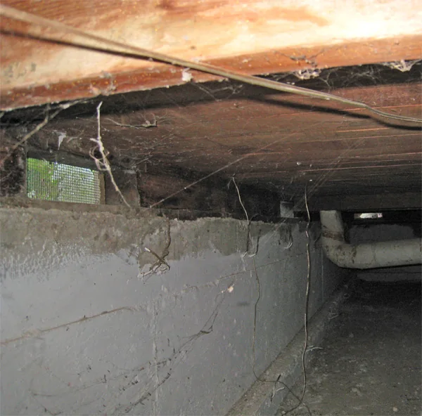 Crawlspace Water Removal in a Boise home
