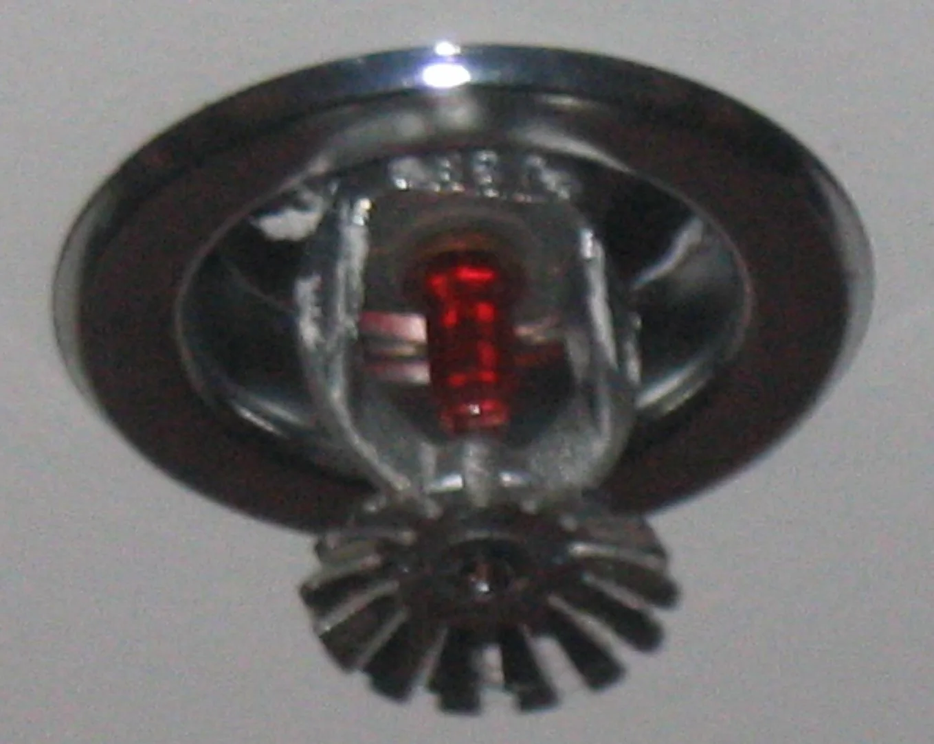 Fire Sprinkler Discharge in a Boise home