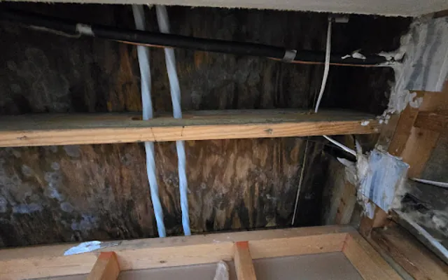 Roof Leak Water Damage in Boise, ID