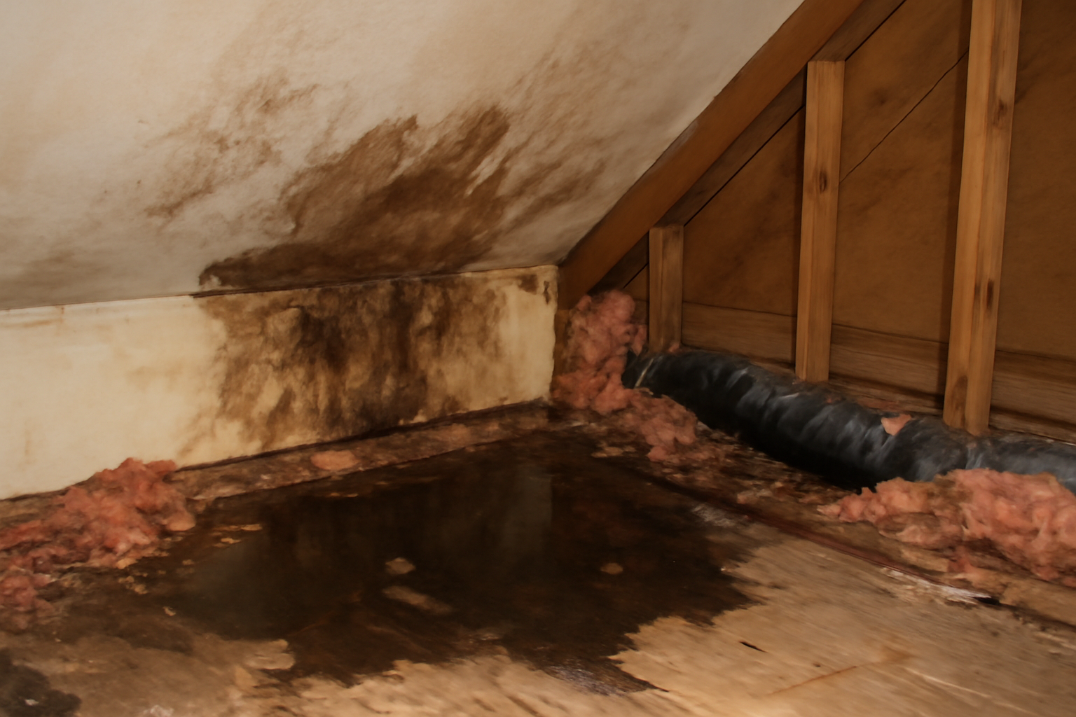 Attic Water Removal in Kimberly, ID